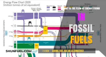 Understanding the Energy Flow Within Fossil Fuels: A Comprehensive Guide
