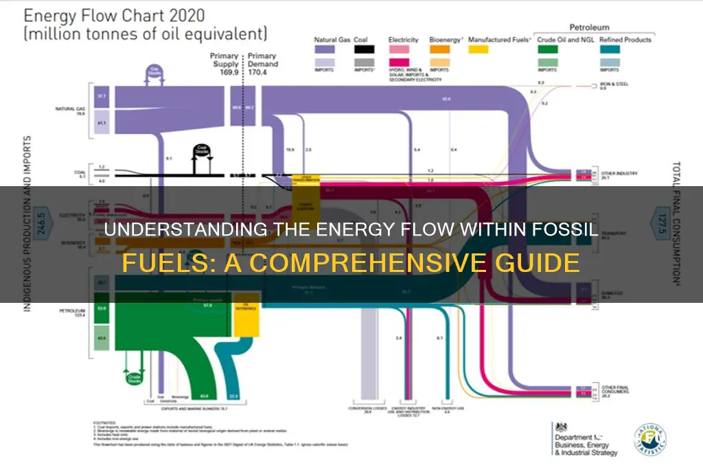 what is the flow of energy found in fossil fuels