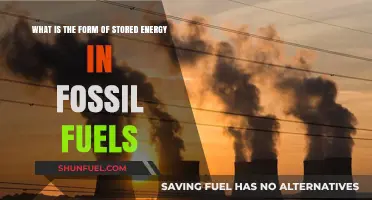 Unlocking Fossil Fuels: Understanding the Stored Energy Within