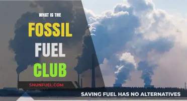 The Fossil Fuel Club: Unveiling the Global Energy Powerhouse