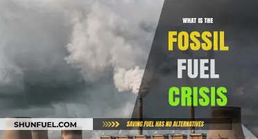 Understanding the Fossil Fuel Crisis: Causes, Impacts, and Solutions