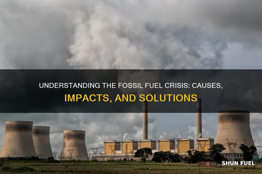 what is the fossil fuel crisis