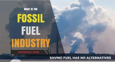 Understanding the Fossil Fuel Industry: History, Impact, and Future Challenges