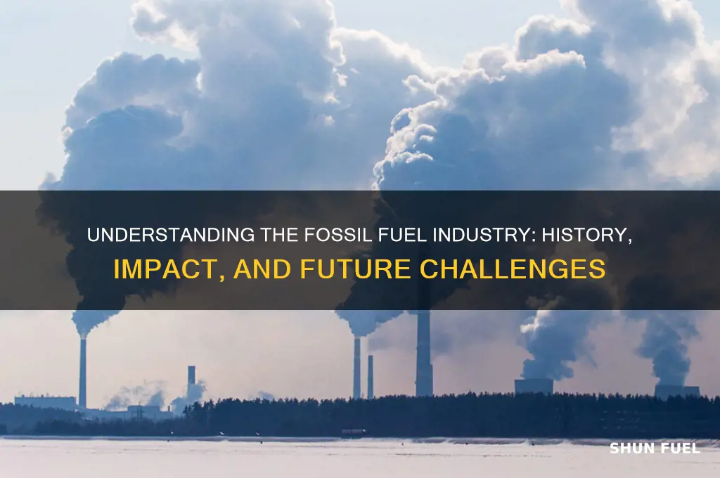 what is the fossil fuel industry