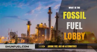Unveiling the Fossil Fuel Lobby: Power, Influence, and Climate Impact