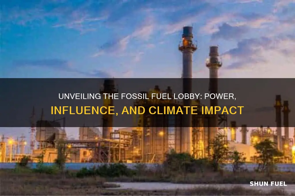 what is the fossil fuel lobby