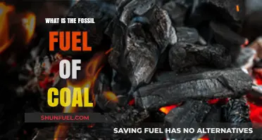 Understanding Coal: The Fossil Fuel Powering Industries and Energy