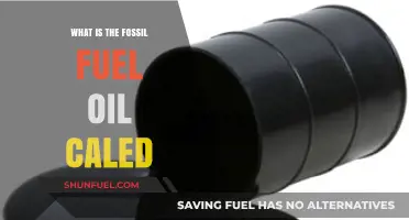 Understanding the Origins and Uses of Fossil Fuel Oil