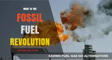 The Fossil Fuel Revolution: Transforming Energy, Industry, and Global Economies
