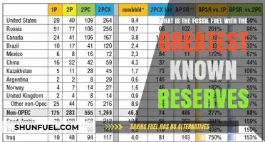 Unveiling the Fossil Fuel Dominating Global Reserves: A Comprehensive Analysis