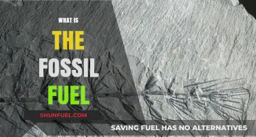 Understanding Fossil Fuels: Origins, Uses, and Environmental Impact Explained