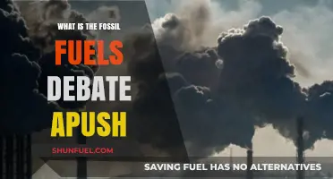 Fossil Fuels Debate in APUSH: Energy, Environment, and History