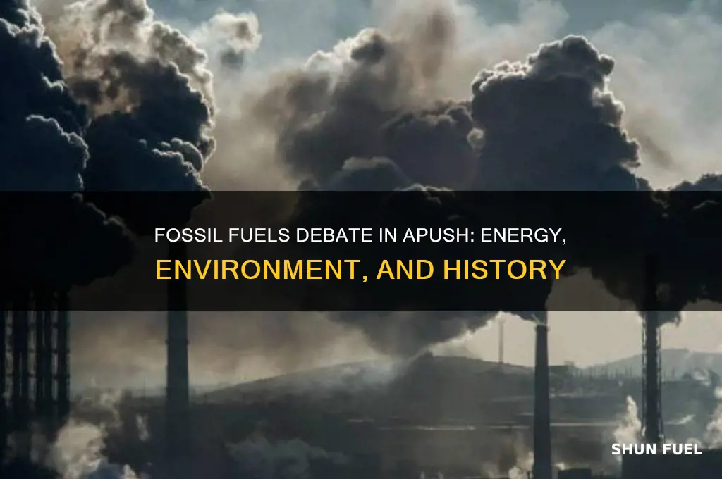 what is the fossil fuels debate apush