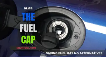 Understanding Your Vehicle: The Importance of the Fuel Cap