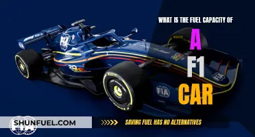 Fuel Capacity Secrets of F1 Cars Revealed