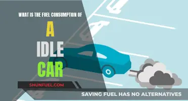 Idling Cars: Fuel Consumption and Environmental Impact