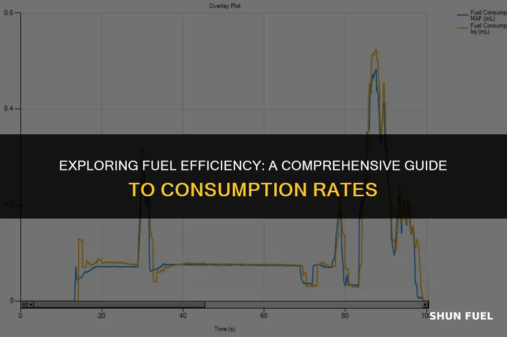 what is the fuel consumption