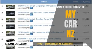Fuel Economy in New Zealand: How Far Can Your Car Go?