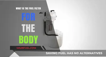 Fuel Your Body: Filtering for Fitness