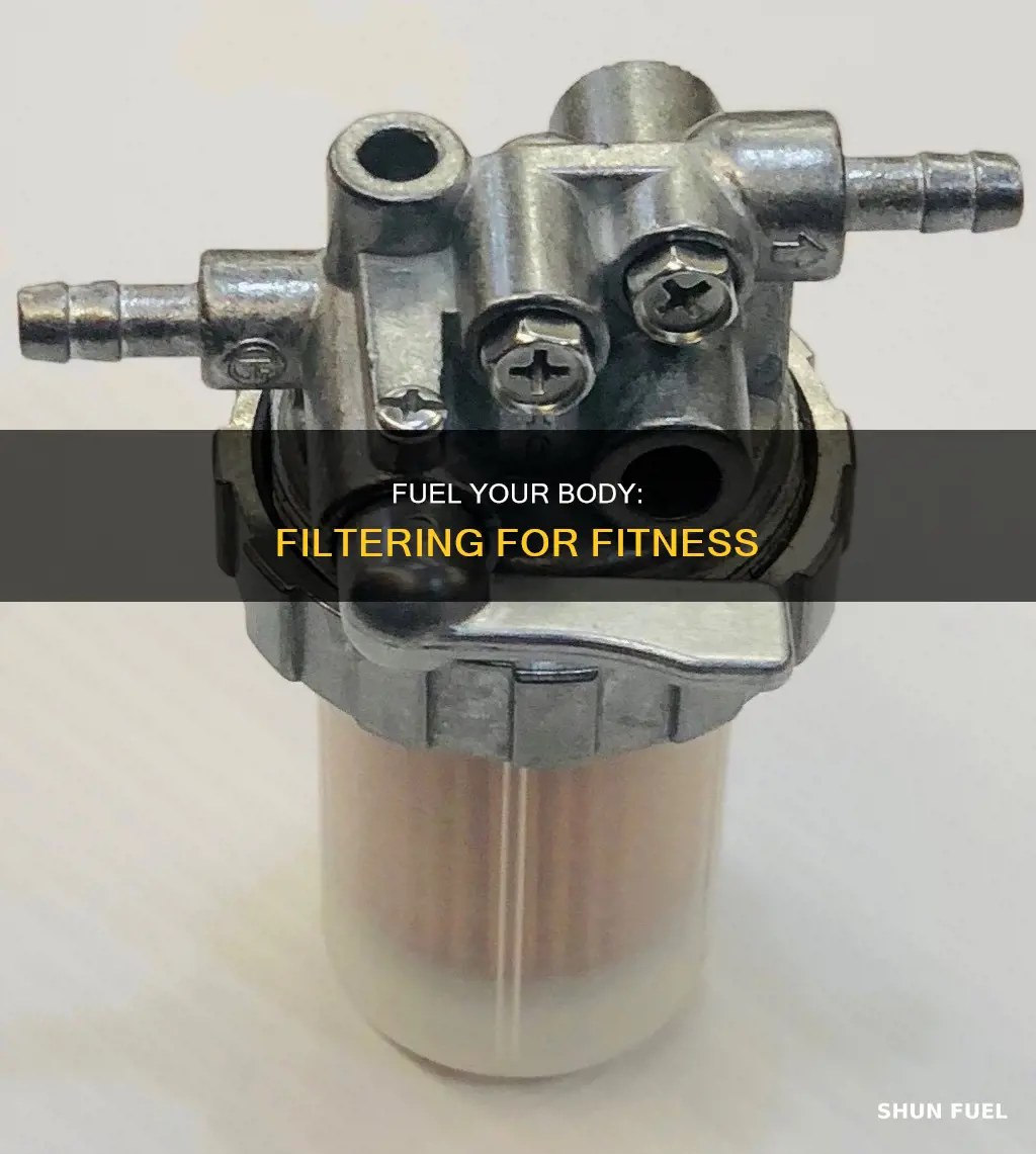 what is the fuel filter for the body
