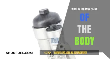 The Body's Fuel Filter: What and Why?