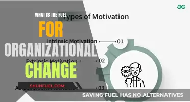 The Spark of Change: Fueling Organizational Transformation