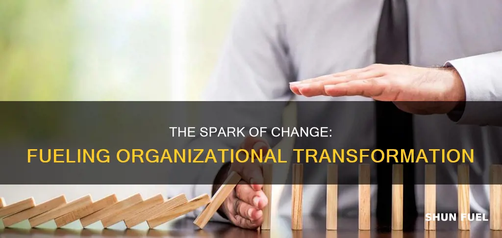 what is the fuel for organizational change