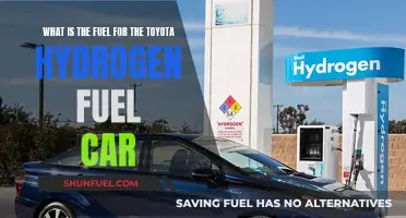 Hydrogen Fuel Cell Tech: Toyota's Car Fuel Source