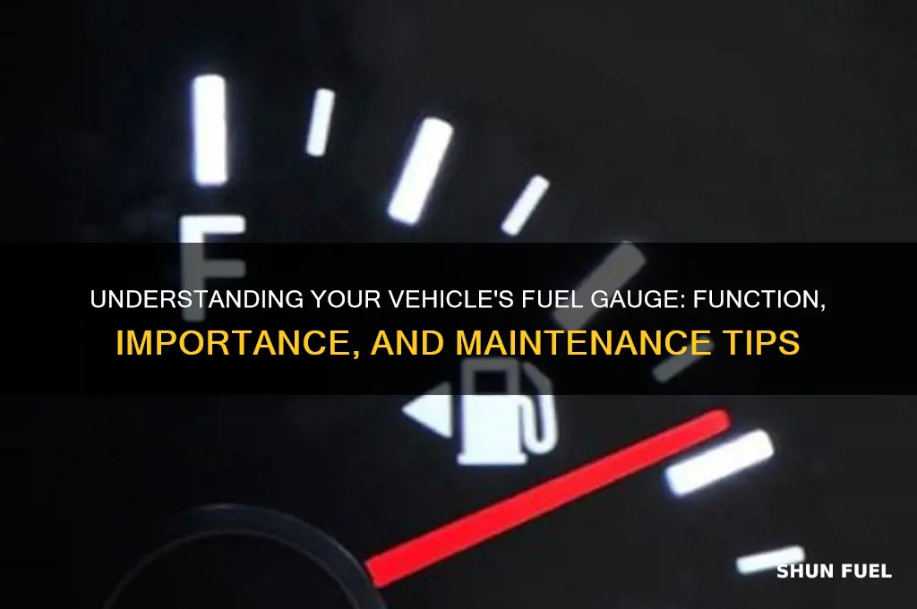 what is the fuel gauge