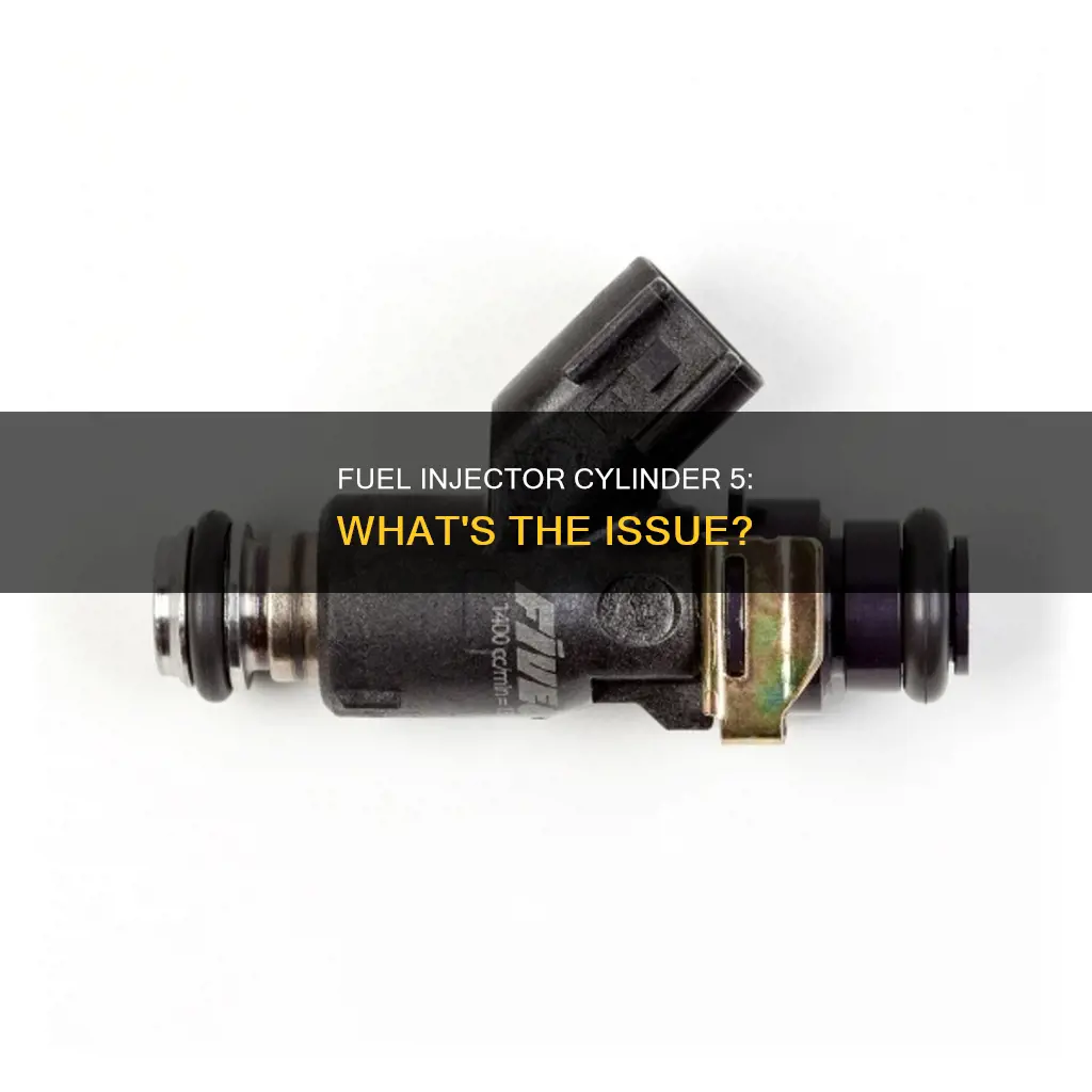what is the fuel injector cylinder 5