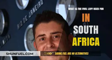 Understanding South Africa's Fuel Levy: Purpose and Allocation Explained