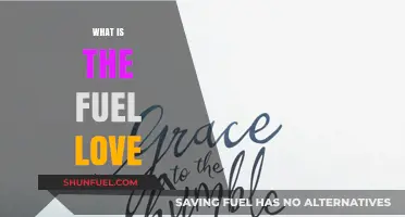 The Essence of Passion: Understanding the Fuel of Love