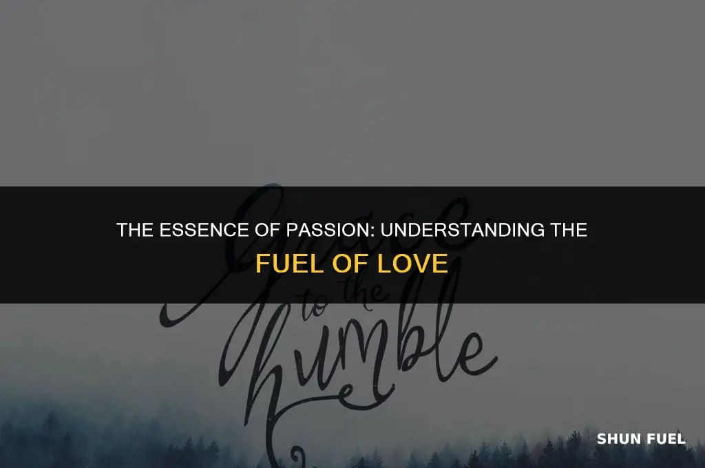 what is the fuel love