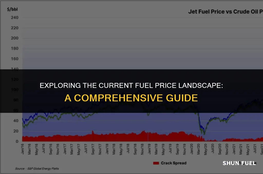 what is the fuel price