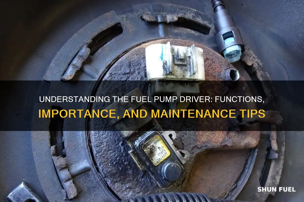 what is the fuel pump driver