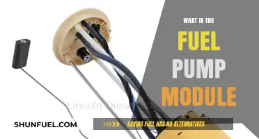 Understanding the Fuel Pump Module: Functions, Components, and Importance