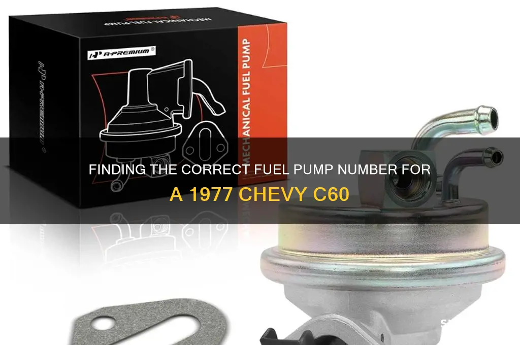 what is the fuel pump number for a1977 c60 chevy