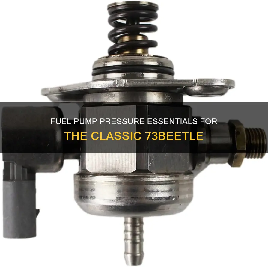 what is the fuel pump pressure for 73beetle