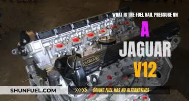 Understanding Fuel Rail Pressure in Jaguar V12 Engines