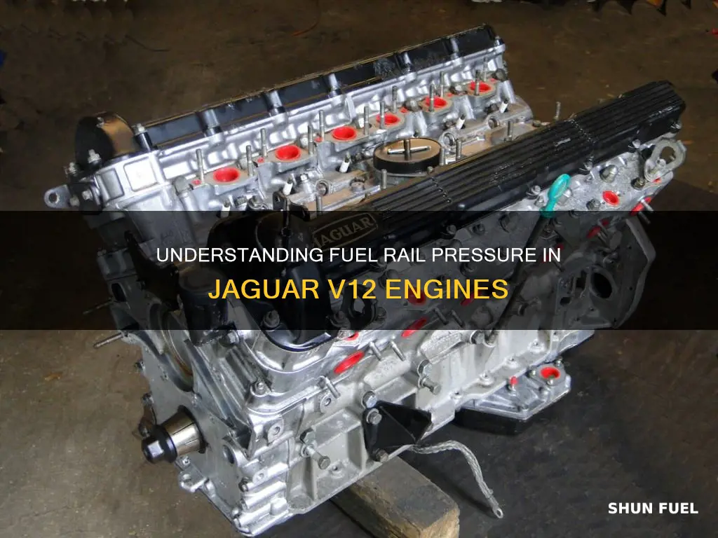 what is the fuel rail pressure on a jaguar v12