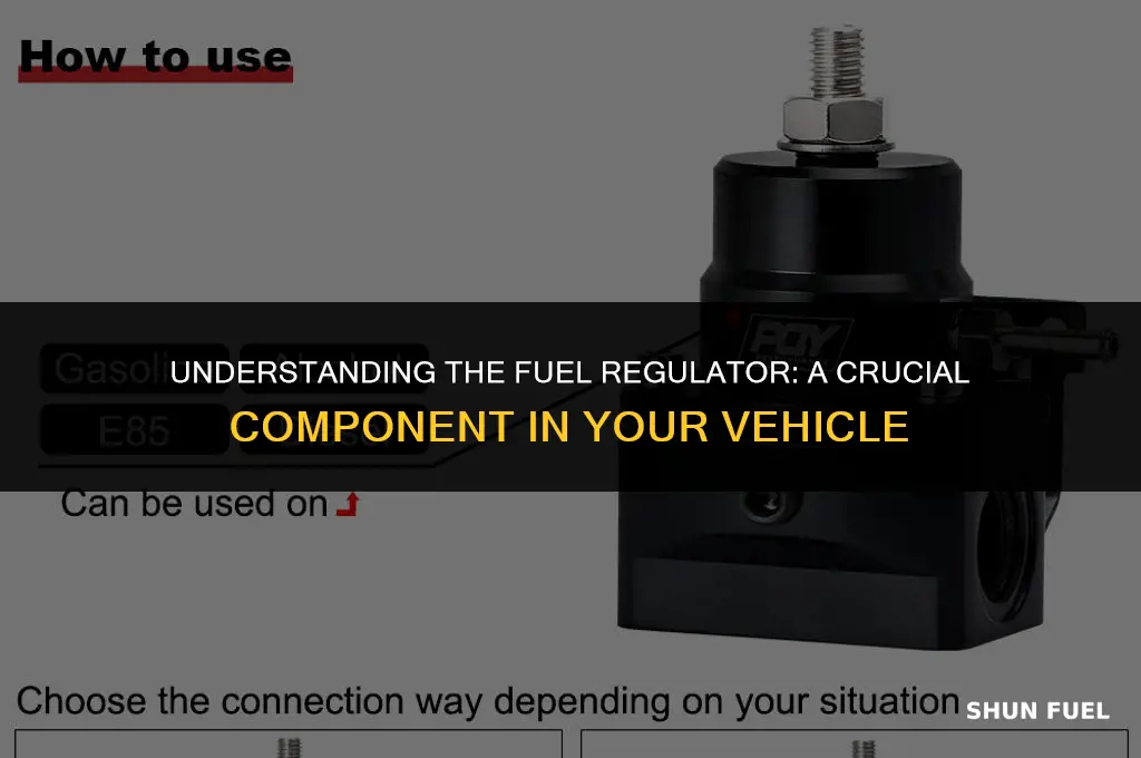 what is the fuel regulator