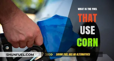Exploring Corn-Based Ethanol: A Renewable Fuel Alternative for Vehicles
