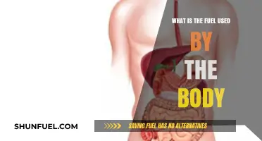 Understanding the Body's Primary Fuel Source: Energy for Life