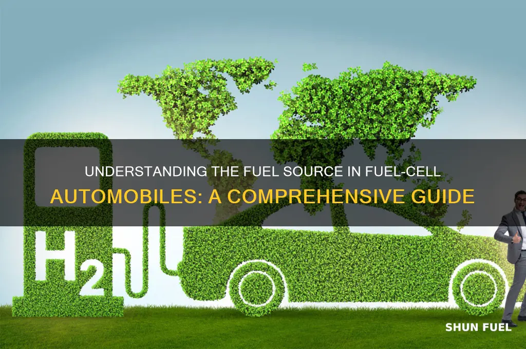 what is the fuel used in a fuel-cell automobile apex