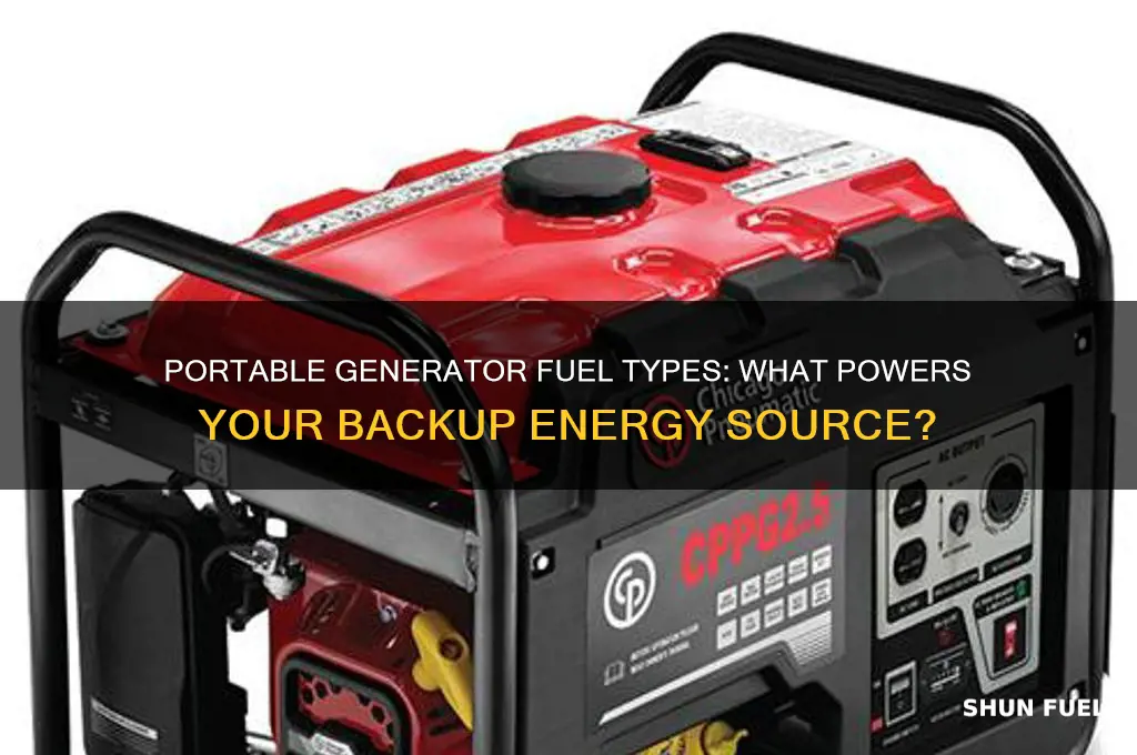 what is the fuel used in a portable generator