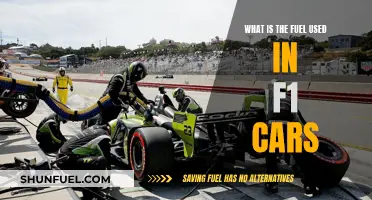 The Evolution of F1 Car Fuel: A Technical Overview