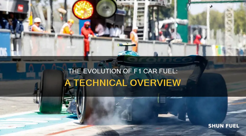 what is the fuel used in f1 cars