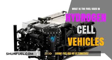 Hydrogen Fuel Cells: Powering Eco-Friendly Vehicles with Clean Energy