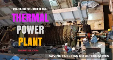 Primary Fuel Sources Powering Most Thermal Power Plants Worldwide
