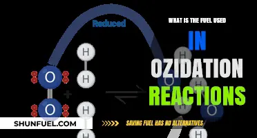 Understanding Oxidation Reactions: The Essential Fuel Types Explained